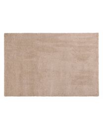 Teppich Hochflor Mit Weichem Wolligen Charakter 13beige 200x290cm